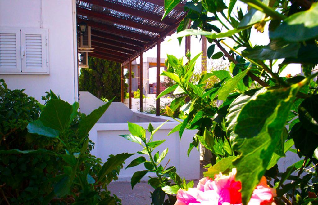 Vaso Rooms Livadakia Extérieur photo